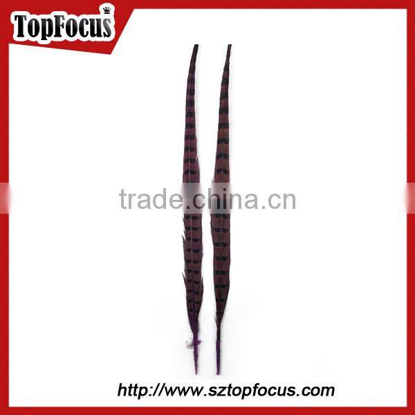 High Quality for Showgirl Carnival Costume ringneck Tail Pheasant Feathers