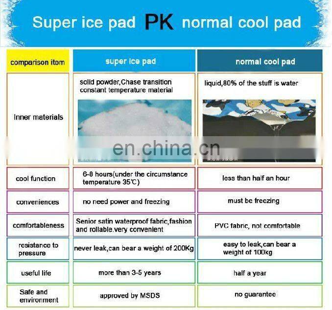 Ice seat cushion Ice computer cooling cushion