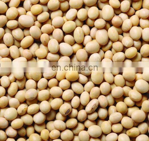 Gravity separator easy operation grain seed cleaning machine for sale