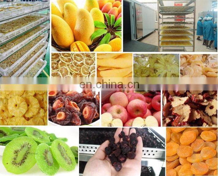 Phnix Energy Saving 75% heat pump dryer for drying herb fruit vegetable lemon dryer