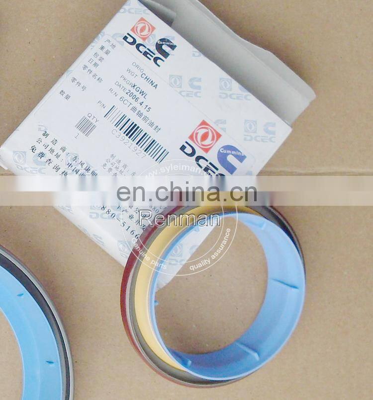 3921927 4025270-3.jpg