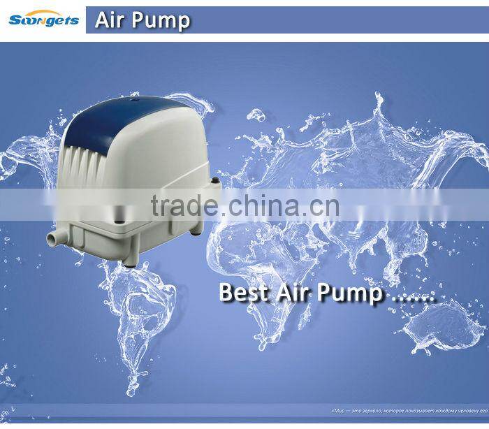 Bulk Buy Pentair Pool Pump