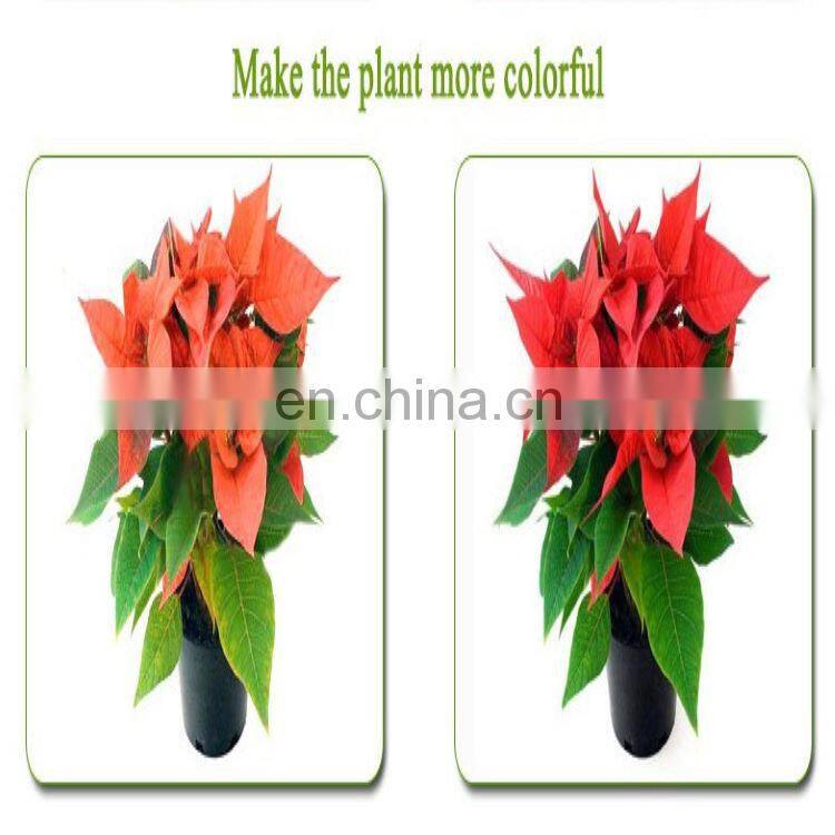 New waterproof 100W LED plant growth lamp greenhouse indoor planting vegetable melon fruit fill light