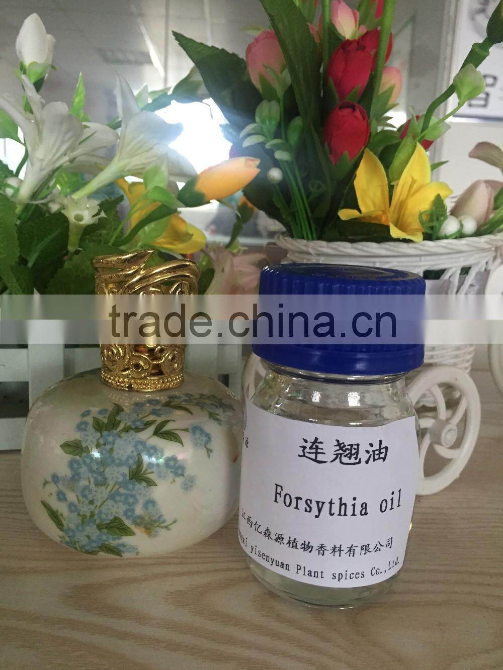 natural weeping fructus forsythia oil essential oil