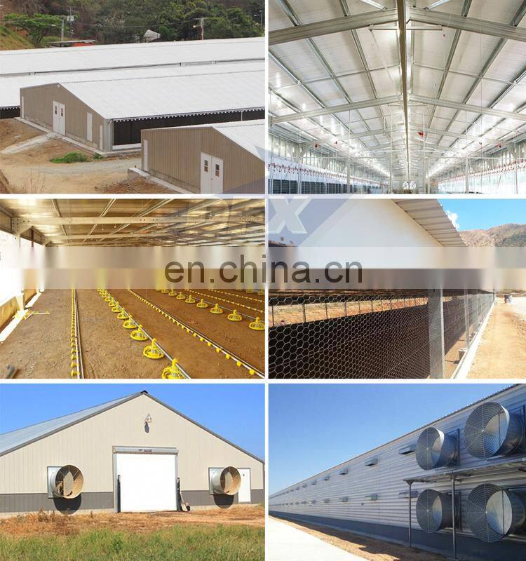 Low Cost Steel Chicken House Construction Poultry Shed Building In Pakistan