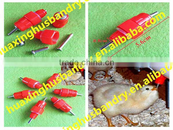 The chicken with a water fountain Chicken water fountain Large chicken with a water fountain