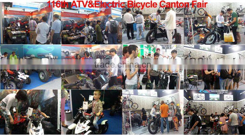chine suppliers foldable electric bike 250w 36v with ce