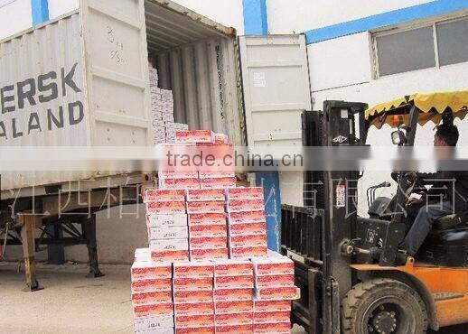 70g Canned Tomato Paste, Sachet Tomato Paste.Tomato Sauce, ketchup.
