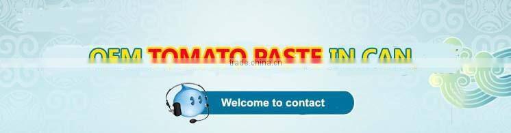 Tomato Paste 22/24 concentration