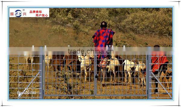 Guangzhou supplier manufacturing galvanized wire mesh roll wire horse gardening ZX-NLW002