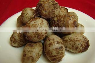 New crop taro root with high quality