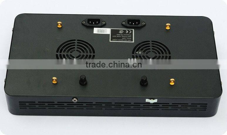 EverGrow D2120 aquarium led lighting coral grow