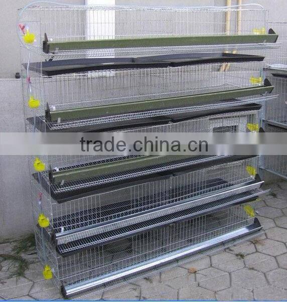 automatic quail layer cage systems with auto drinker and feeder