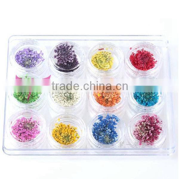 12 colors jar nail dry flower set,big nail art dry flower