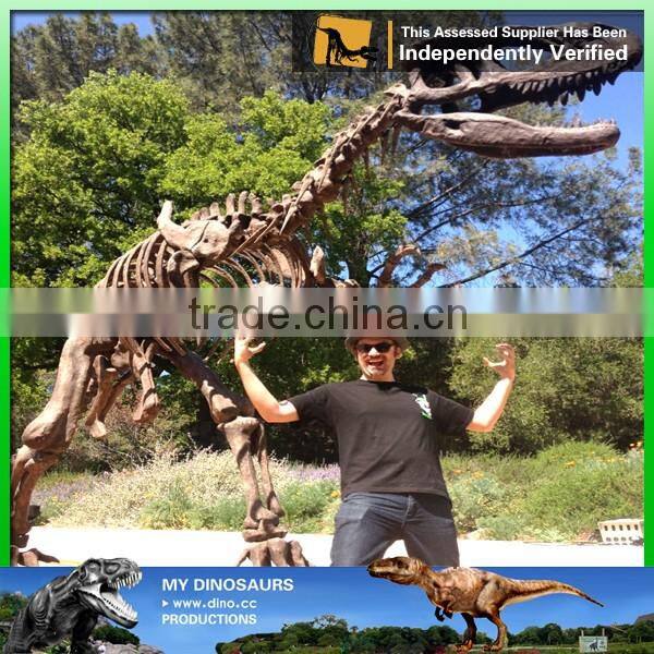 MY Dino-C024 Life size golden dinosaur skeleton