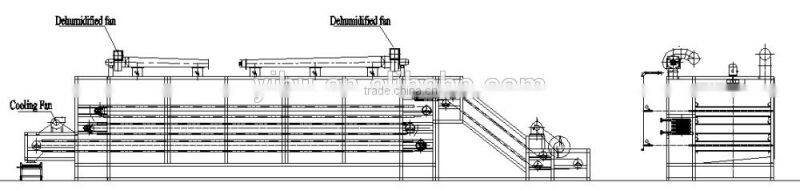 Mesh-belt Dryer for drying vegetable and fruits