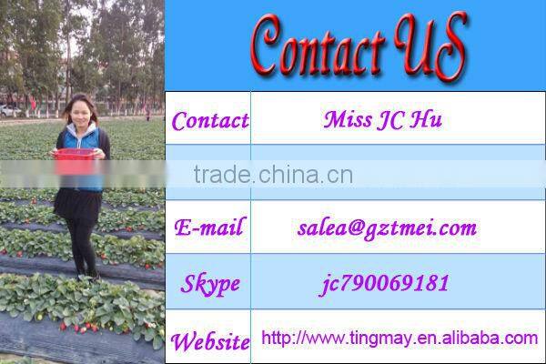 Professional diamond dermabrasion machine/diamond micro dermabrasion TM-NV97