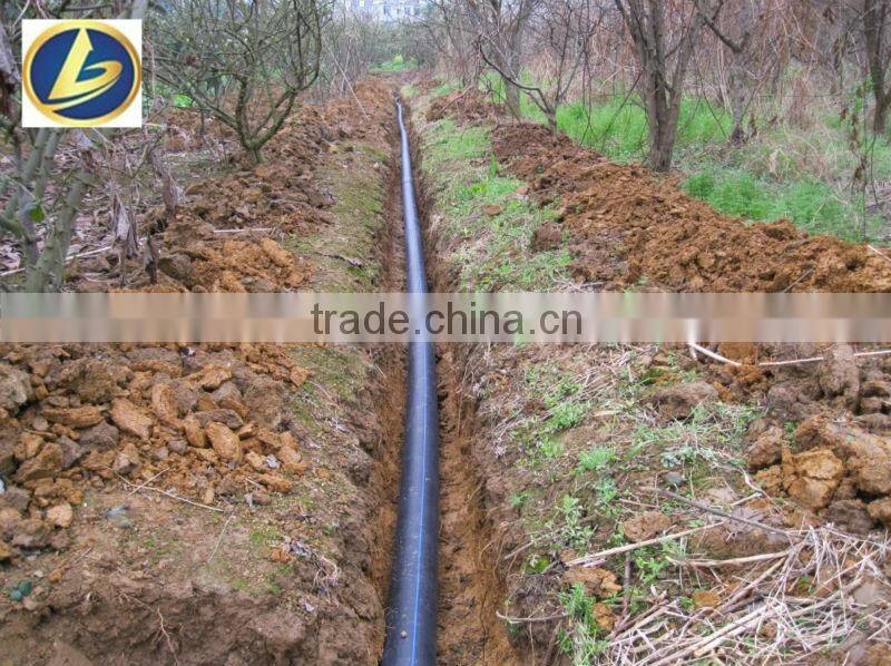 supply different welded steel pipe
