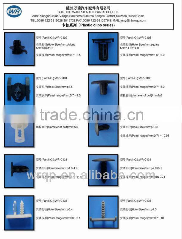 Auto Fastener and plastic rivet