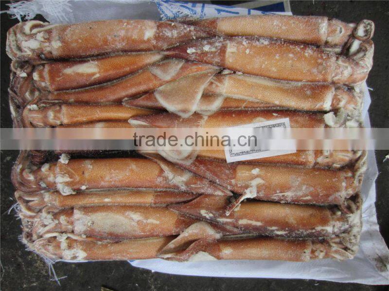 Frozen Illex Argentina Squid 100-150g