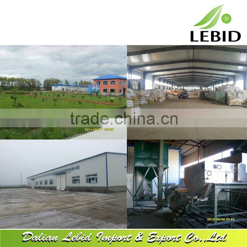 2016 new crop small round shape white navy beans