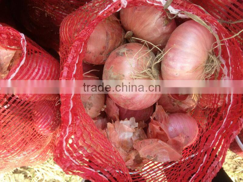 Yellow Onion Red Onion Specification Fresh