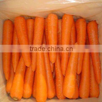 2014 fresh natural carrot hot sale(80-150g)(150-250g up)