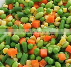 IQF Peeled broad beans