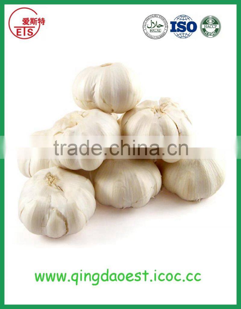 Top quality factory price fresh white garlic