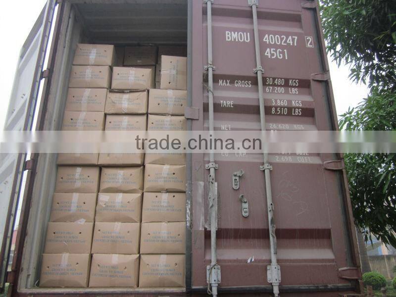 VIETNAM CIGARETTE CINNAMON/CASSIA HIGH QUALITY GOOD PRICE (SKYPE: VISIMEX09)