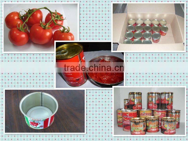 canned exotic food,wholesale canned tomatoes