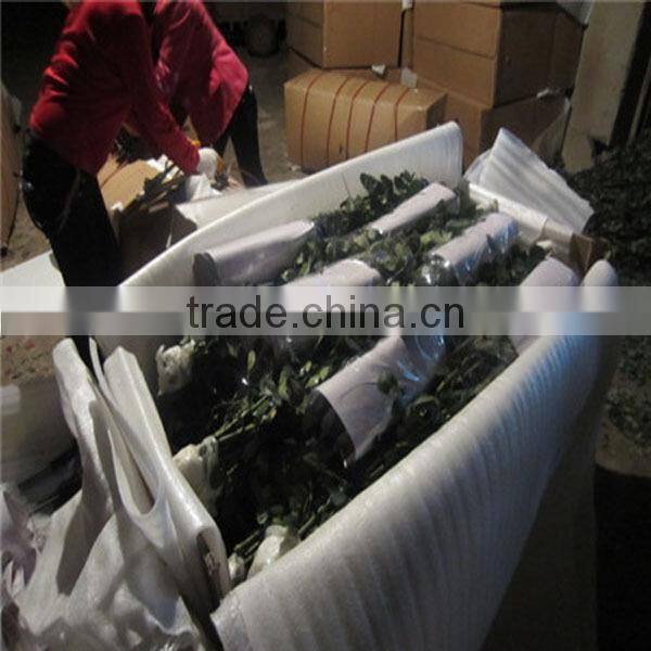 Wholesale fresh cut flower rose plants of various colors