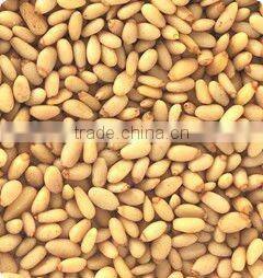 Intelligent automatic peanut color sorter