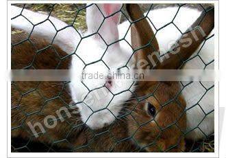 hot sale Hexagonal wire netting