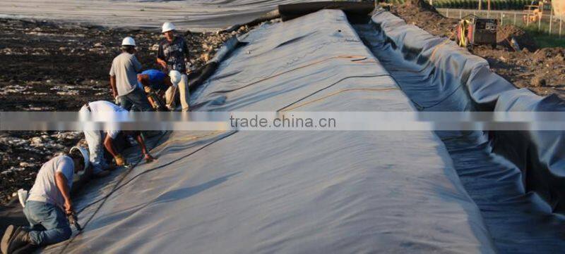 hdpe geomembrane price