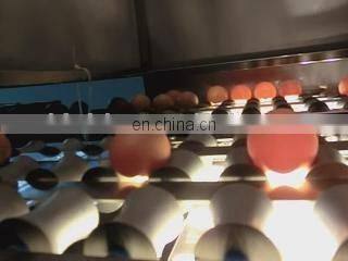 Best Selling Egg Brushing Machine/Egg Sorting Machine/Egg Washing Machine
