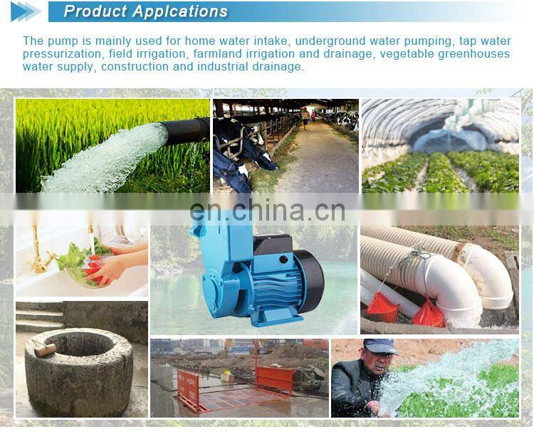 High Pressure Self Priming Pump, Domestic Booster Pump, Automatic Pump