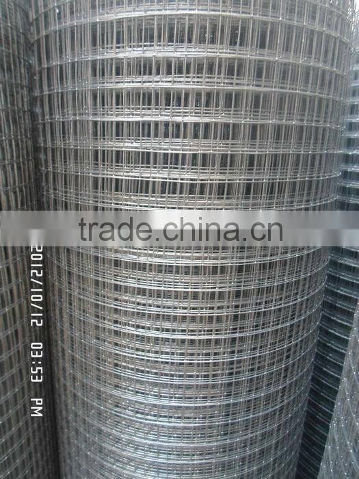 HIgh quality galvanized bird cage welded wire mesh