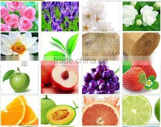 Hot new product for 2016 Customized hanging paper air fresheners /bulk air fresheners