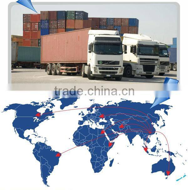 China Bearing Manufacturer Supply All Types of Bearings