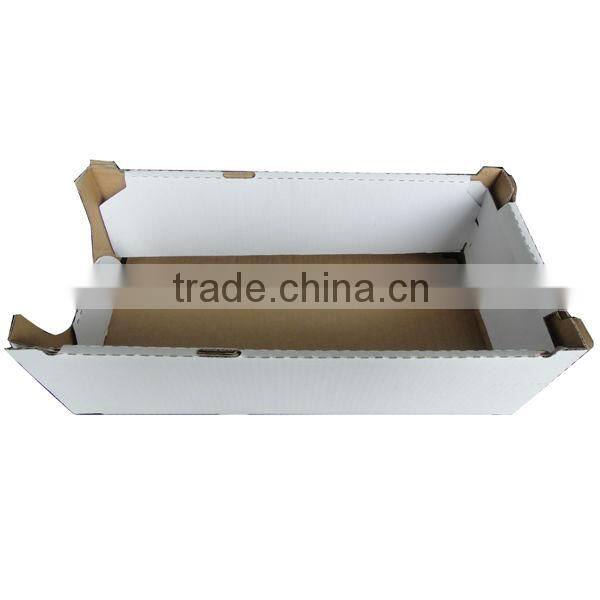 CARDBOARD FRUIT AND VEGETABLE BOX (FP600018)