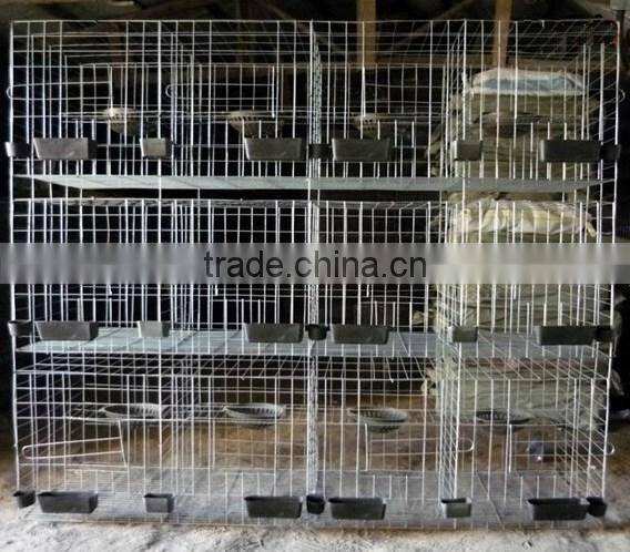 Chicken Cage&Rabbit Cage&Pigeon Cage