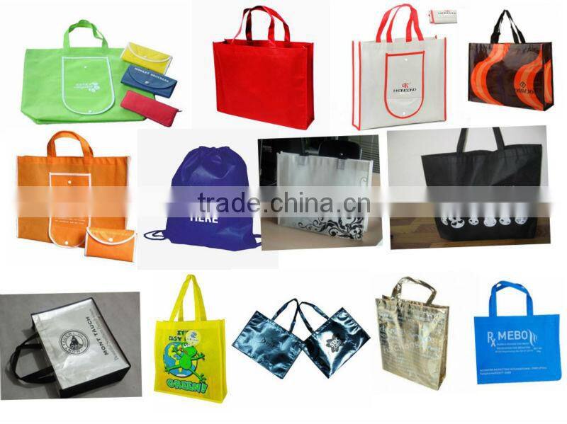 water bottle design foldable shopping bag/shopping bag plastic bag/trolley shopping bag