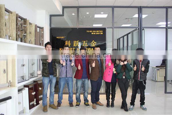 Public WC High Quaity China Hardware Ordinary Stainless Steel Hinge