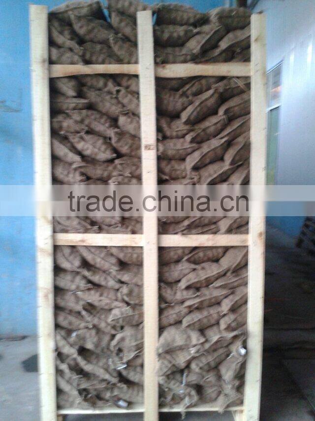 high quality 5kg gunny bag fresh chinese chestnut for Jordan