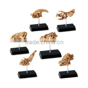 Mid Dinosaur Skull Dig Kit with stand, 6 assorted, 24pcs per display.