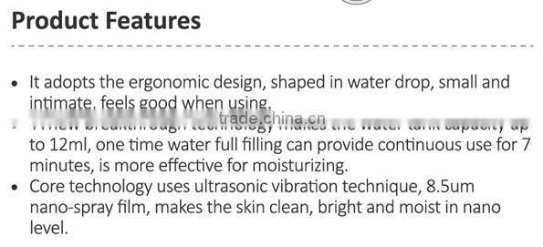 Mini Facial Nano Sprayer USB Rechargeable Portable Lonic Facial Face Steamer