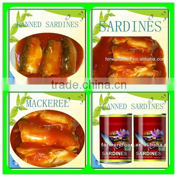 Can Food Sardines In Tomato Sauce yummy healthy seafood