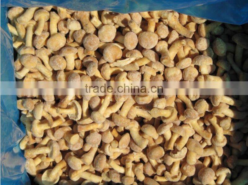 IQF nameko mushroom/frozen nameko mushrooms