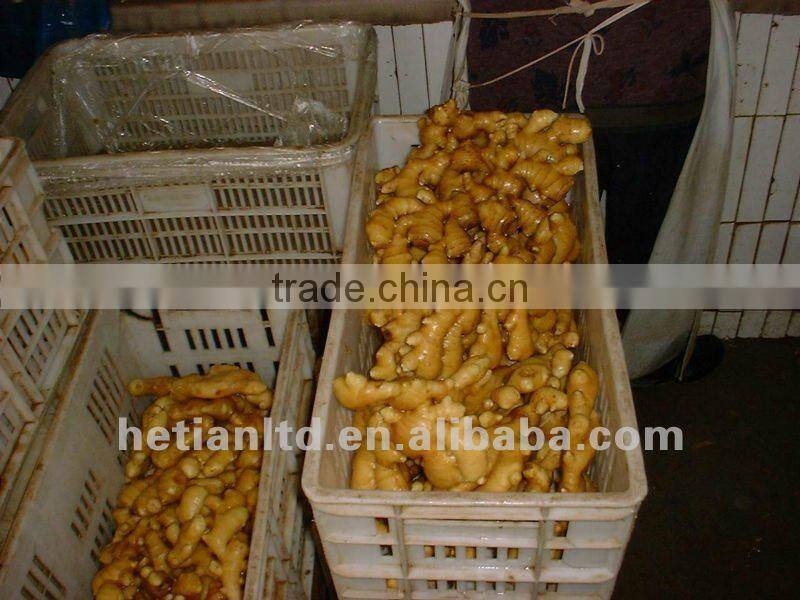 dried skin fresh ginger